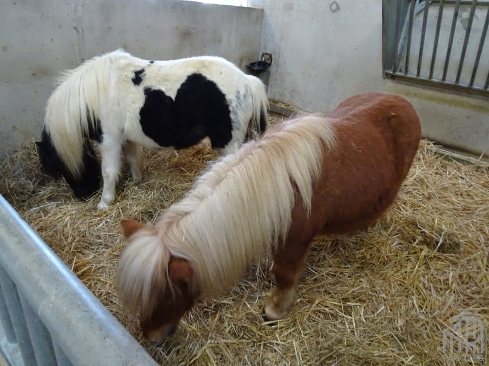 poney villages nature paris