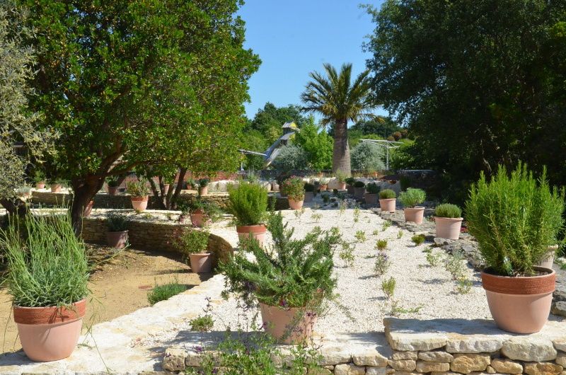 Jardin sans eau à Terra Botanica