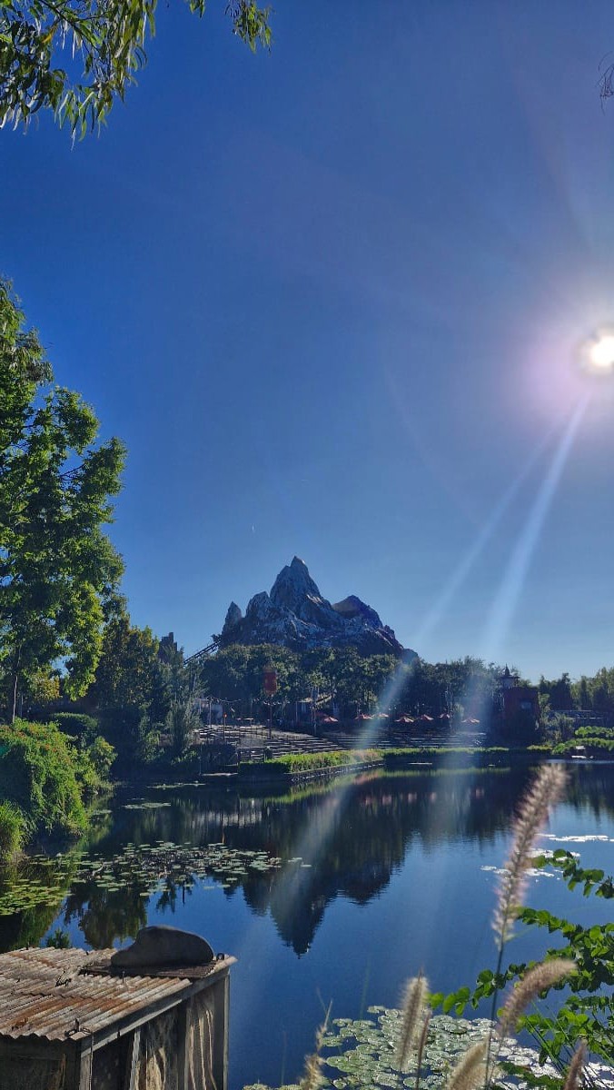 Photo de trip report à Walt Disney World